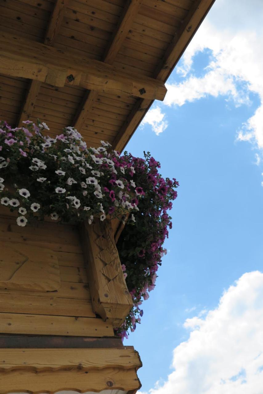Haus Enzian Apartment Sankt Johann im Pongau Exterior foto